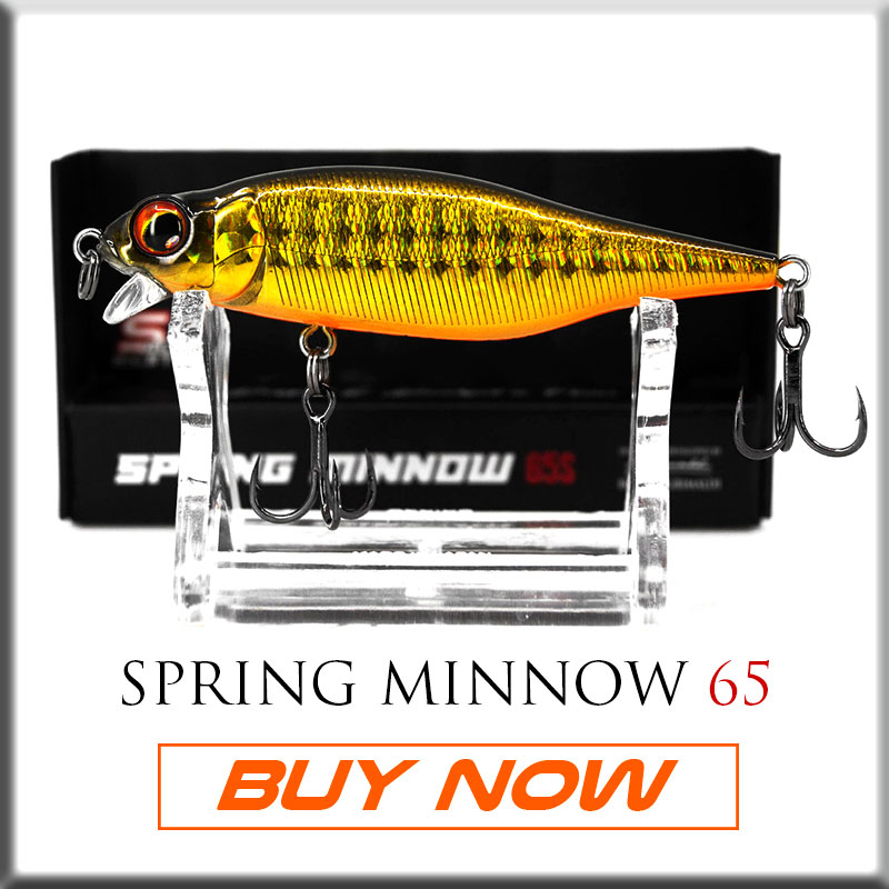 Best Fishing Lures - how to choose the best lure